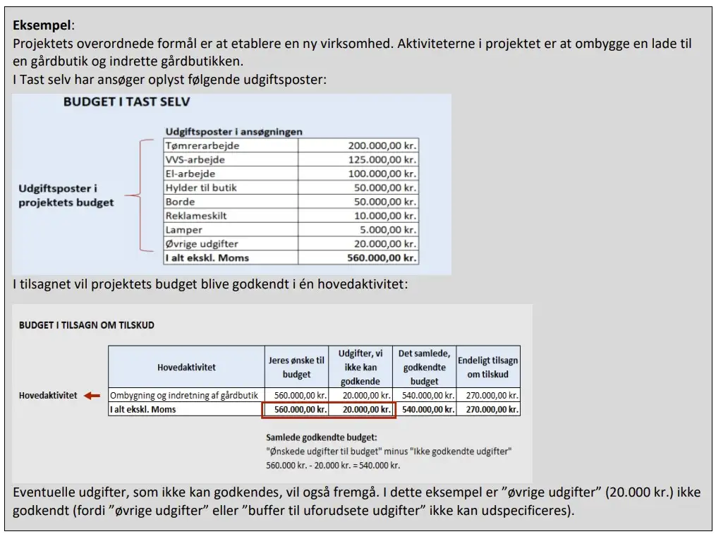 Eksempel p&aring; hovedaktiviteter i budget